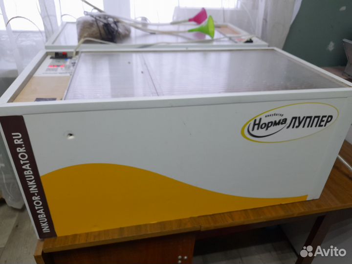 Инкубатор норма луппер