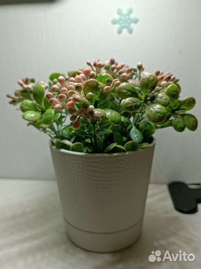 Искусственный цветок в пластиковом горшке