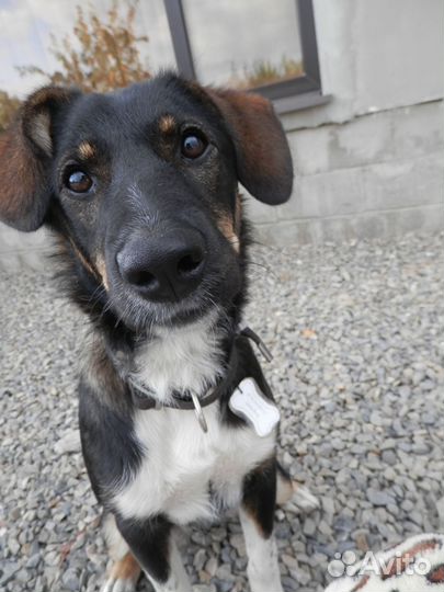 Помогите найти