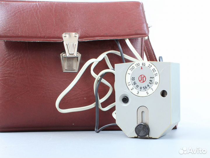 Вспышка Чайка