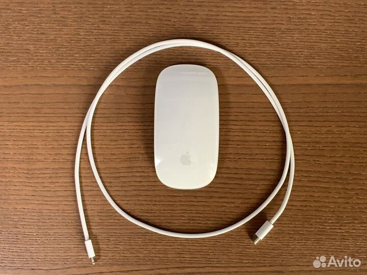 Apple Magic Mouse 2021