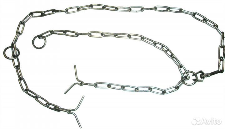 Цепь привязи коров