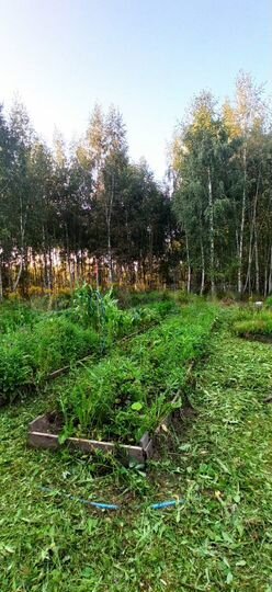 Участок 2,5 га (СНТ, ДНП)