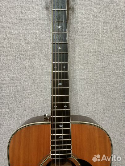 Акустическая гитара Morris W 50