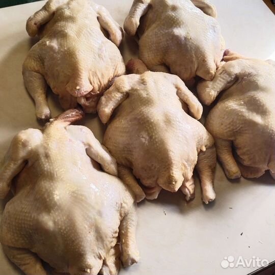 Мясо бройлера
