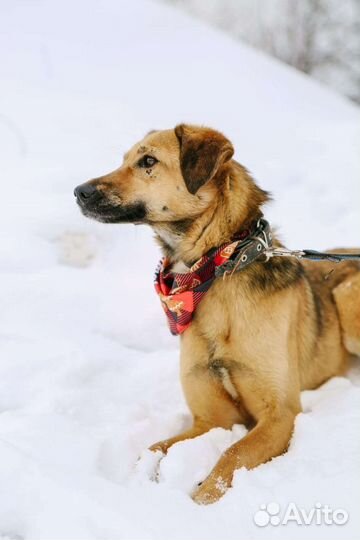 Озорная девочка Рейчел