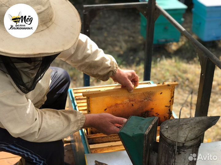 Мед свежий натуральный. Акация