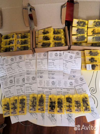 Племенные ио Матки