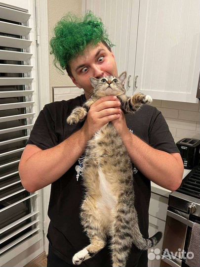 Фоточки милса