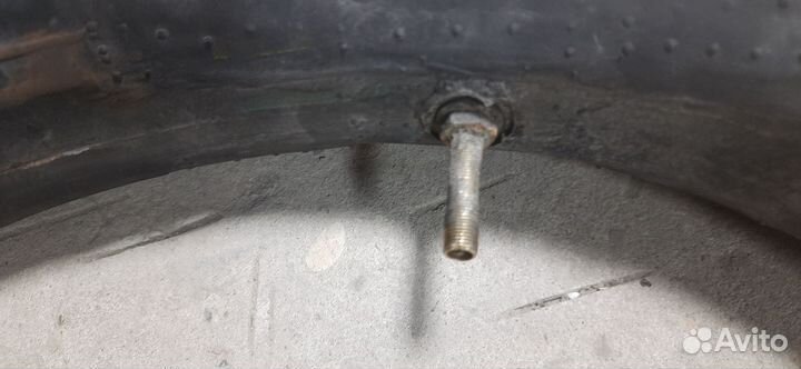 Lucioli камера