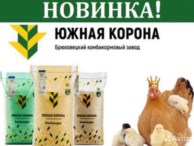 Зерно и комбикорма