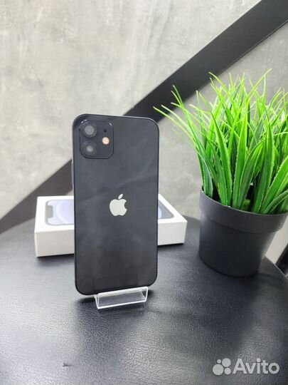 iPhone 12, 256 ГБ