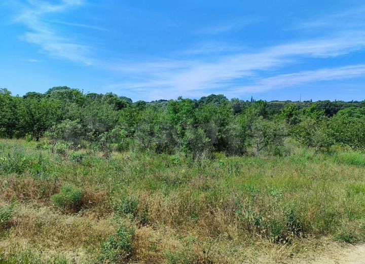 Участок 45 сот. (СНТ, ДНП)