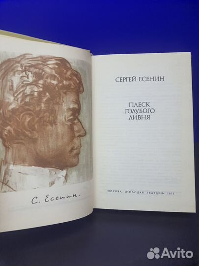 Книга Плеск голубого ливня. С. Есенин 1975г