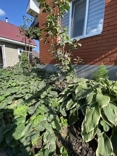 Таунхаус 64 м² на участке 3 сот.