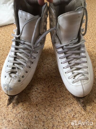 Коньки Risport RF 3