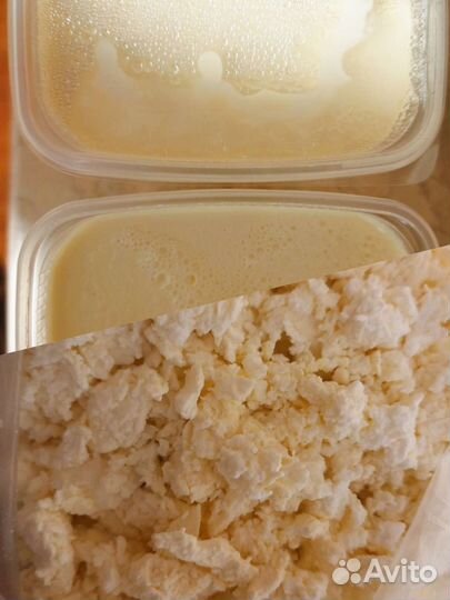 Сливки, творог домашние