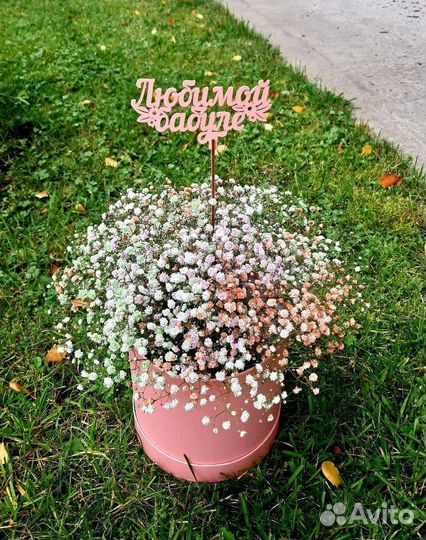 Букеты из Гипсофилы в Курске