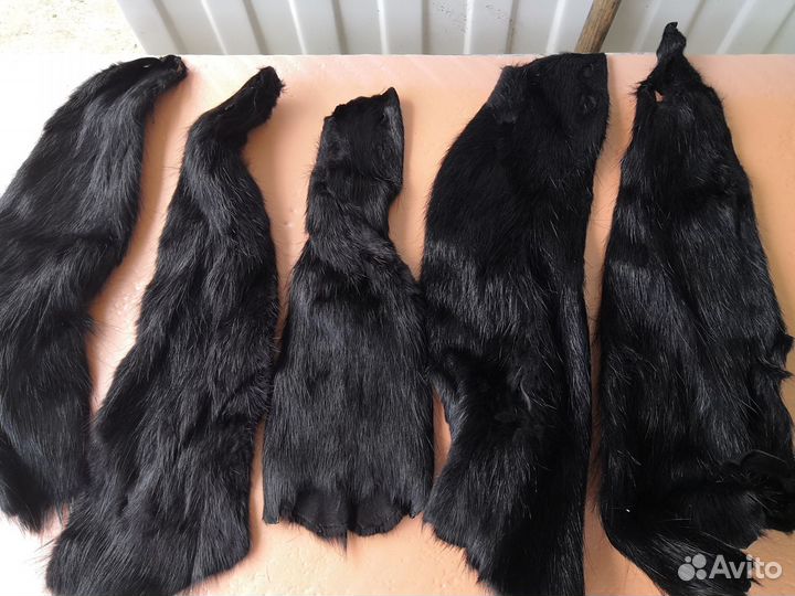 Шкуры нутрии