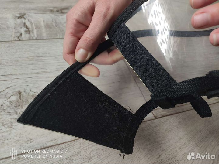 Ошейник после операционный