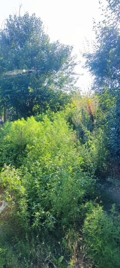 Дом 56,6 м² на участке 20 сот.