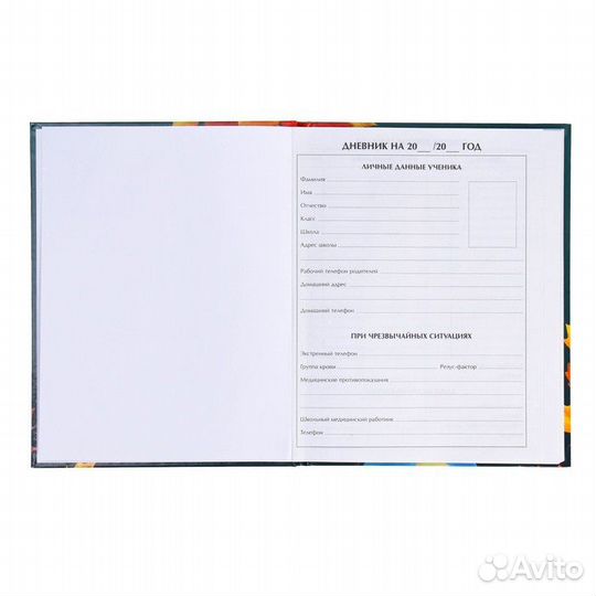 Дневник универсальный для 1-11 классов, 