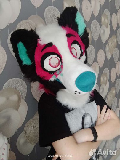 Фурсьют гиены