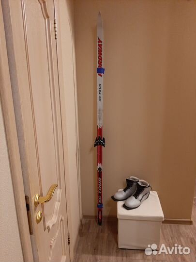 Беговые лыжи