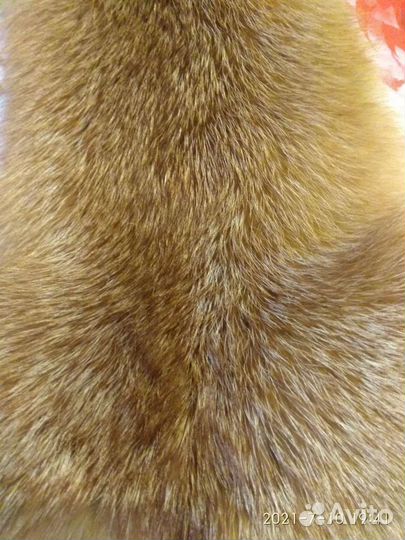 Шкурка лисы