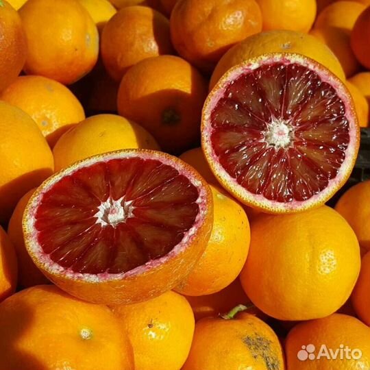 Цитрусовые растения