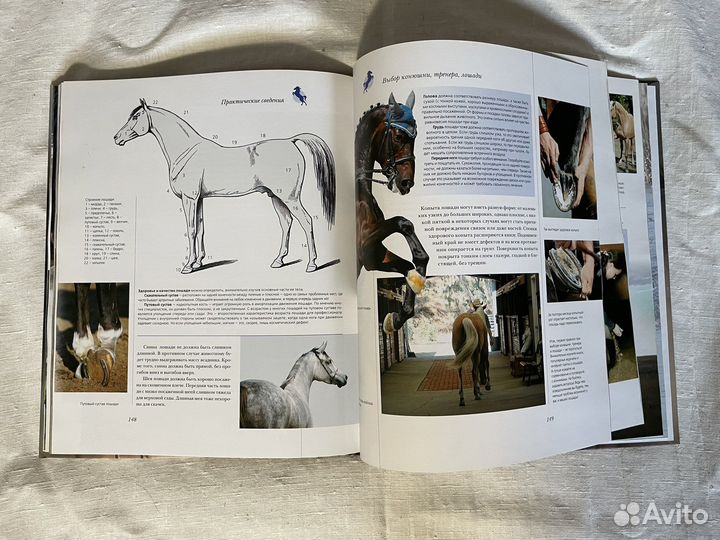 Книга о конном спорте