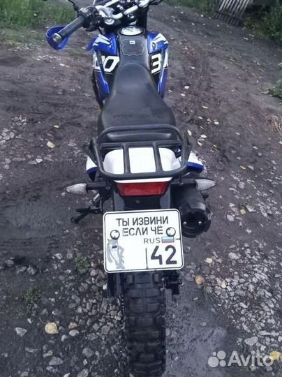 Рейсер Пантера 300