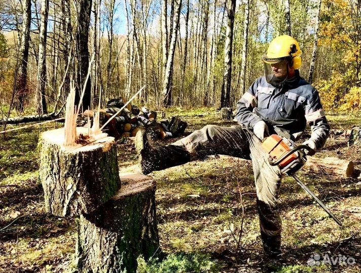 Фреза / дробилка / измельчитель пней