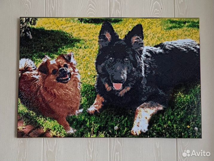 Алмазная мозаика - картина по фото