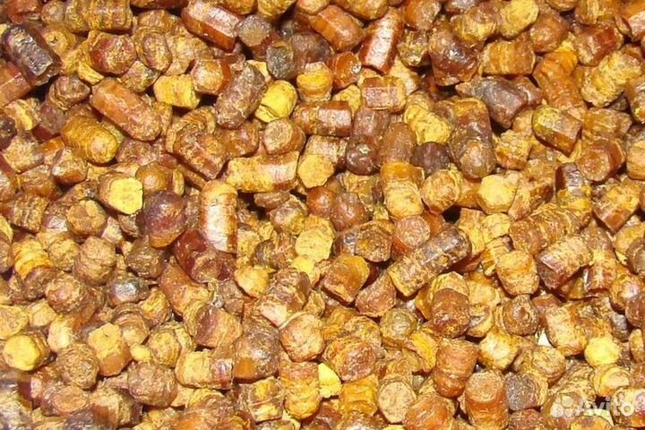 Перга пчелиная 2023 год