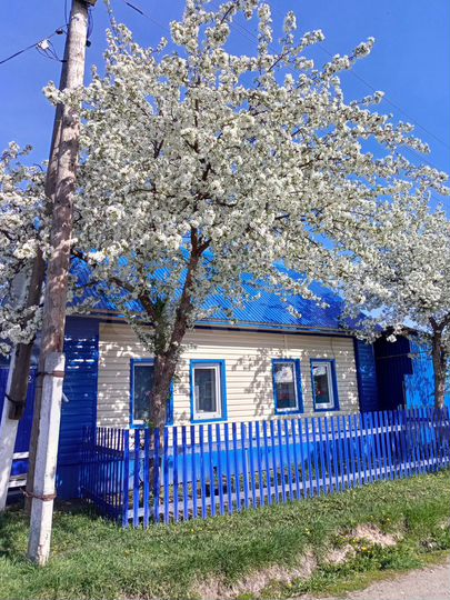 Дом 65 м² на участке 4 сот.