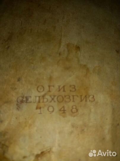 Книги пчеловодство