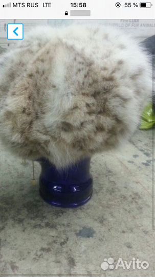 Берет из рыси