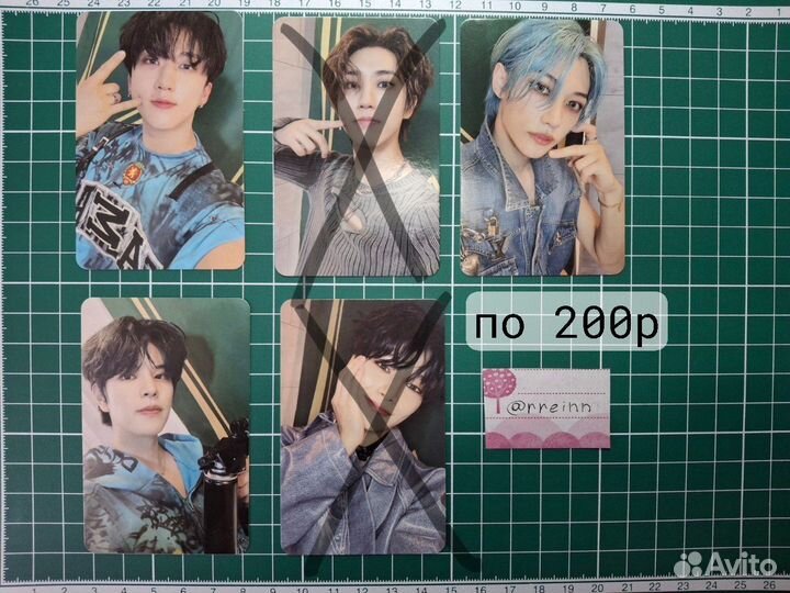 K-pop карты stray kids и enhypen