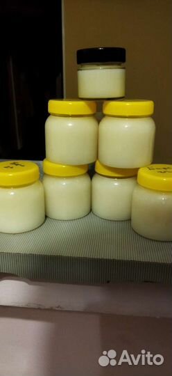 Барсучий жир от охотника