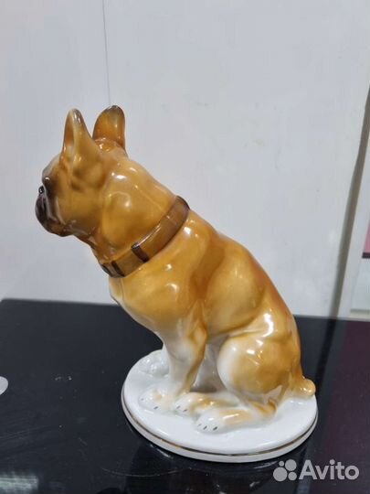 Статуэтка фарфоровая «Французский бульдог», лфз