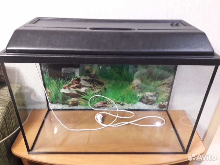 Аквариум