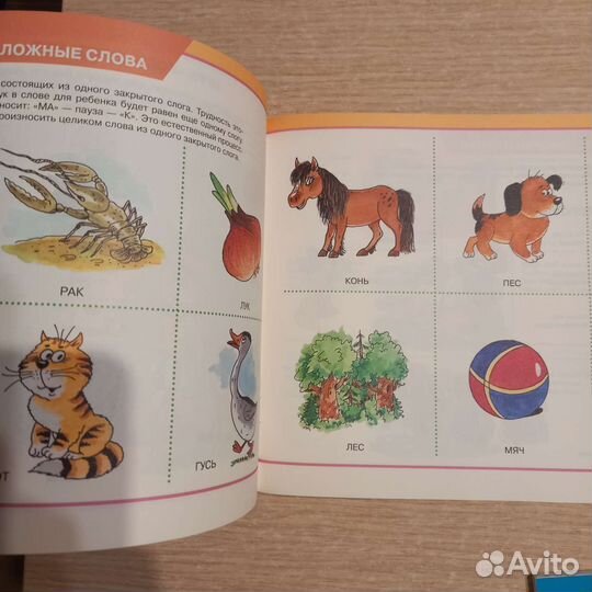 Развивающие пособия новые