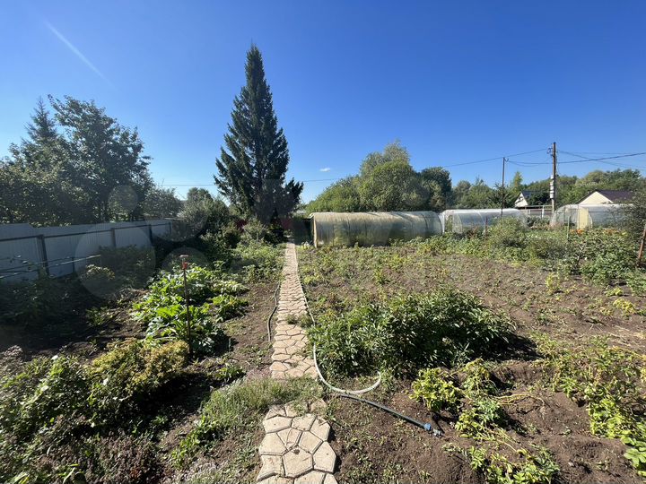 Участок 6 сот. (СНТ, ДНП)