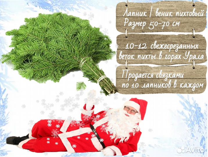 Живые Сосны и Елки на Новый Год опт