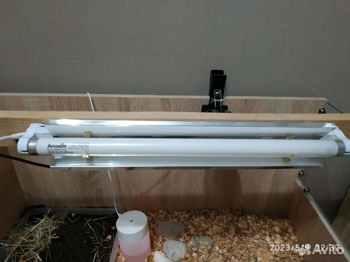 Террариум для рептилий