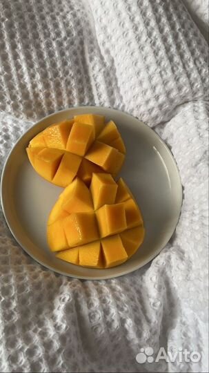 Настоящий Египетский манго