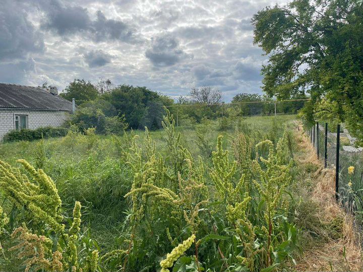 Участок 12,5 сот. (ИЖС)