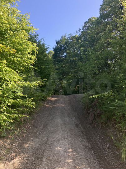 Участок 9,5 сот. (СНТ, ДНП)