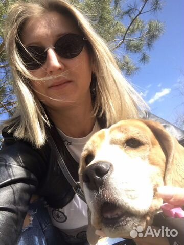 Груминг собак и кошек у Вас на дому